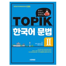 시대고시기획 2024한국어 선생님 TOPIK 한국어 문법2 토픽