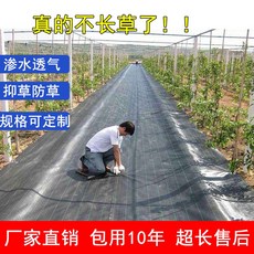 3cf34e42bb2960623df2adb5e9727f0683e8ee47811835475cea3231e63f.jpg
