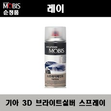레이순정avn