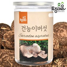 먹버섯