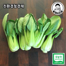 청경채4kg