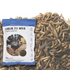 동애등에 사료첨가제 - 건조애벌레 500g 산란닭 메추리 오리 관상닭 청계 닭 간식 영양만점, 1개 - 메추리간식