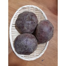 국내산 비트 셀러드 3개 약1kg