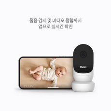 오울렛 캠 2 (Owlet Cam 2), 슬리피 세이지, 1개