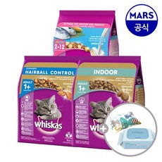 위스카스 포켓 건사료 3kg+캣닢쿠션+물티슈, 위스카스 포켓 오션피쉬 3kg[P75_1], 3kg, 1개