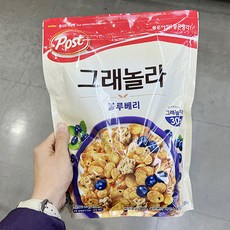 롯데마트블루베리