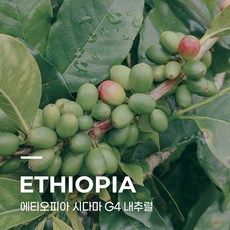 캅카와 커피생두 에티오피아 예가체프 G4 내추럴 1kg, 1개
