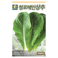 으뜸 열무 씨앗 20g - 열무씨앗 열무씨 야채씨앗 채소씨앗 채소재배 종묘 종자 베란다 텃밭 씨 씨앗, 19_다농_청로메인 상추(2000립)