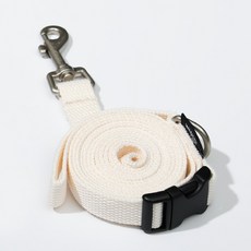 디미토아이보리