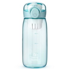 캐리보틀 트라이탄 원터치 보틀, 블루, 420ml, 1개