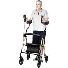 롤링보행기대여