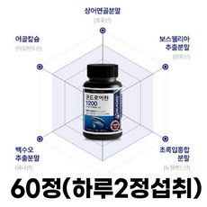 콘드레이친 콘드로이친 1200 CHONDROITIN 상어연골 어골칼슘 보스웰리아 집안 어르신 선물 병문안선물
