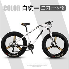 엘파마에포카 오프로드 광폭타이어 팻바이크 바퀴큰자전거 산악용 자전거 7단 화이트 MTB 20인치 27단 흰색(3개 나이프 휠)