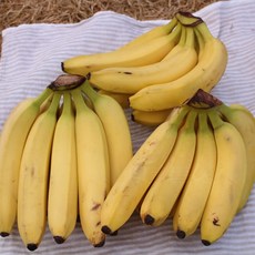 8ff5c1b24da370253543288fa77b89862e54fb76e8217127b891fb2ae75a.jpg