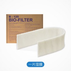 브루네b125