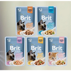  브릿 유럽산 그레이비타입 프리미엄 고양이 주식 파우치 85g 24개 (그레이비 닭고기 그레이비터키 그레이비연어 그레이비참치 그레이비 치킨 키튼), 그레이비 닭고기 