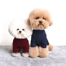 강아지스윗와인