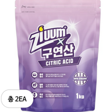슈가버블 지움 분말 구연산, 1kg, 2개