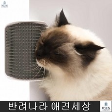 반려견털엉킴 강아지털광택 반려견빗질 반려털관리 장모묘 셀프그루밍 털관리 그루머 닥스훈트