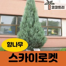 ad6d9366208bab6ddf91b0f072edb24e794d676f2b6eeb3c1b6b2cd67e39.jpg