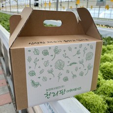 친환경 GAP 무농약 국내산 유러피안 샐러드 모둠 채소 쌈채소, 1개, 500g