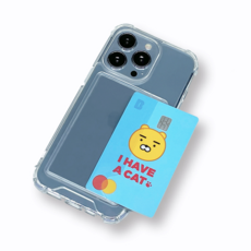 투명수트케이스