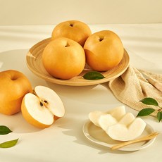 델푸릇수박