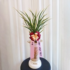 동양란고급화분 TOP01