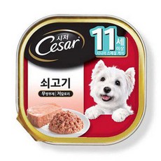 시저캔 시니어 11세 쇠고기100g - 시저사료