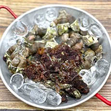 거북손제철