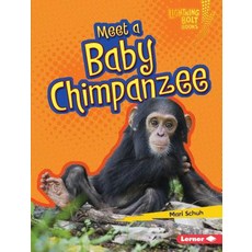 (영문도서) Meet a Baby Chimpanzee Library Binding, Lerner Publications (Tm), English, 9781467779739