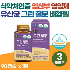 임산부 유산균 철분 영양제 비헴첼 철분제 혈액생성 유락토바실러스 불가리쿠스 임신초기 가임기 임신준