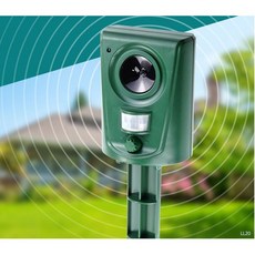 두더지퇴치방법