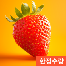 [한정수량] 새콤달콤 설향 딸기 프리미엄 난좌포장, 1개, 750g