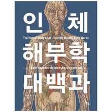 인체해부학대백과 TOP01