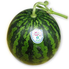 수박 8Kg 8Kg 2통 이강산닷컴, 2개