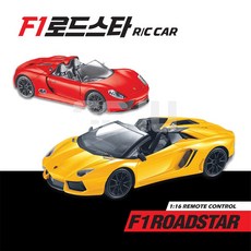 F1 로드스타 RC CAR 무선자동차
