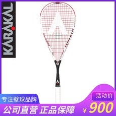 카라칼s100