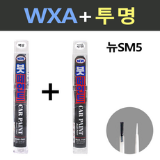 일신 삼성 뉴SM5 WXA 라바그레이 붓페인트 + 투명마감용 붓페인트 15ml