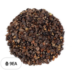 신선약초 통메밀, 500g, 1개입, 9개