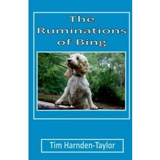 (영문도서) The Ruminations of Bing: Lines From My Forehead 3 Paperback, Saron Publishing, English, 9781999987183