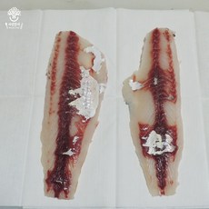 국내산 활어회 한마리 필렛, 숭어 한마리 필렛