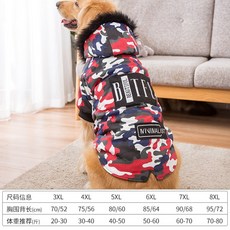 강아지몽클레어