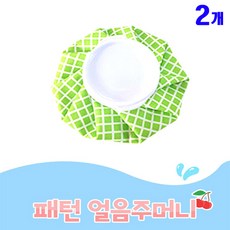 프리미엄 냉 찜질주머니 아이스팩 12인치, 2개