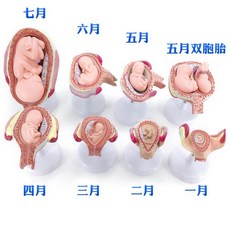 1a7e798a094a4e55ffd4cf2bb2c2d6c8d71830b5c543c095cb323544a1db.jpg
