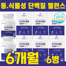 mbp메타정