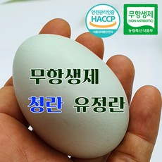 청계닭가격