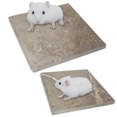 햄스터대리석 TOP01