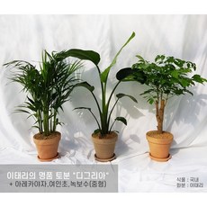 //상품명