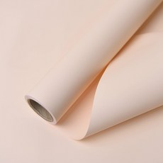 꽃포장지 비닐꽃다발포장지 무광 플로드 플로드지2 80g 프렌즈 10YD, 26.연베이지색